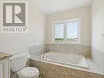 171 VANILLA TRAIL