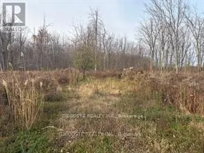 4942 COUNTY ROAD 34 ROAD
