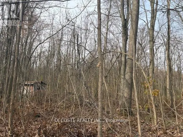 4942 COUNTY ROAD 34 ROAD