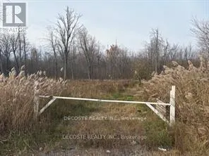 4942 COUNTY ROAD 34 ROAD