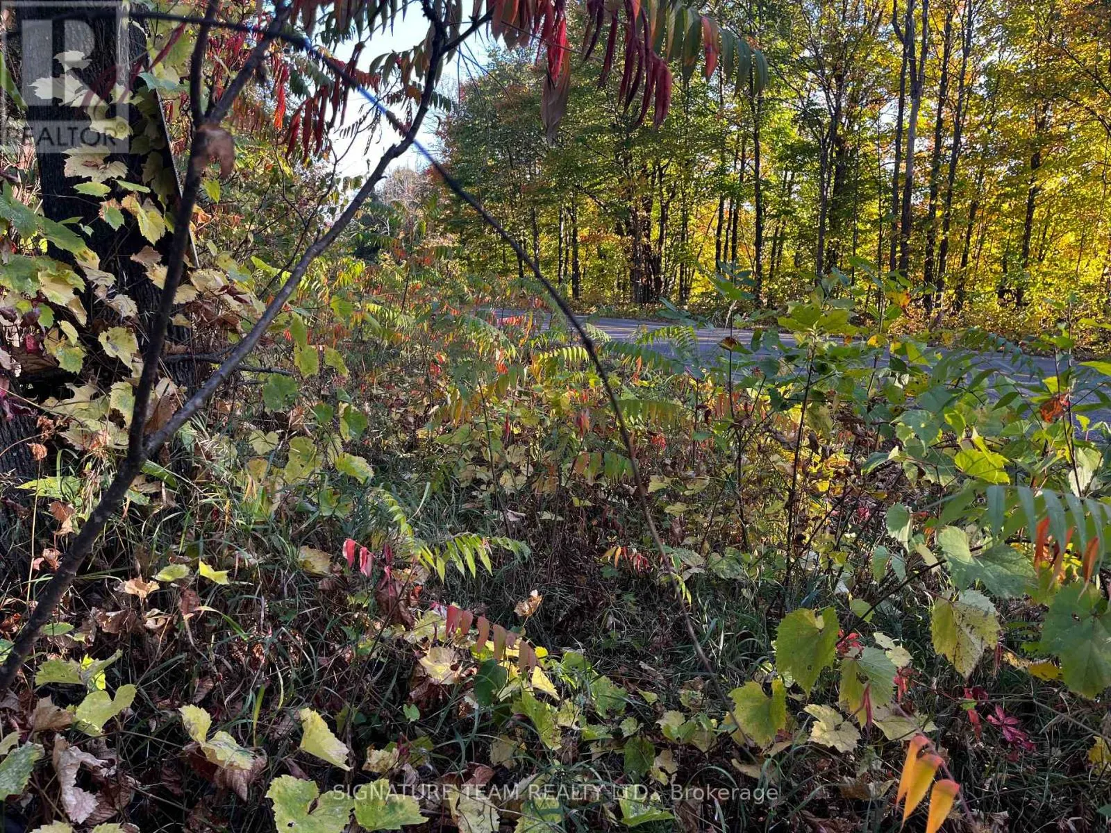 LOT 0 BELLAMY ROAD