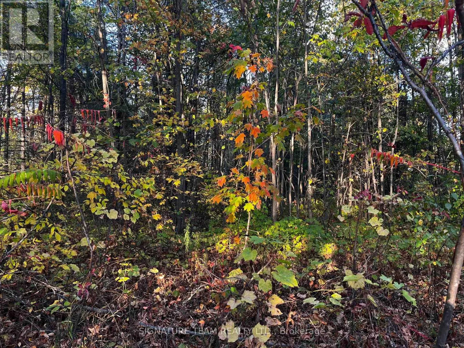 LOT 0 BELLAMY ROAD