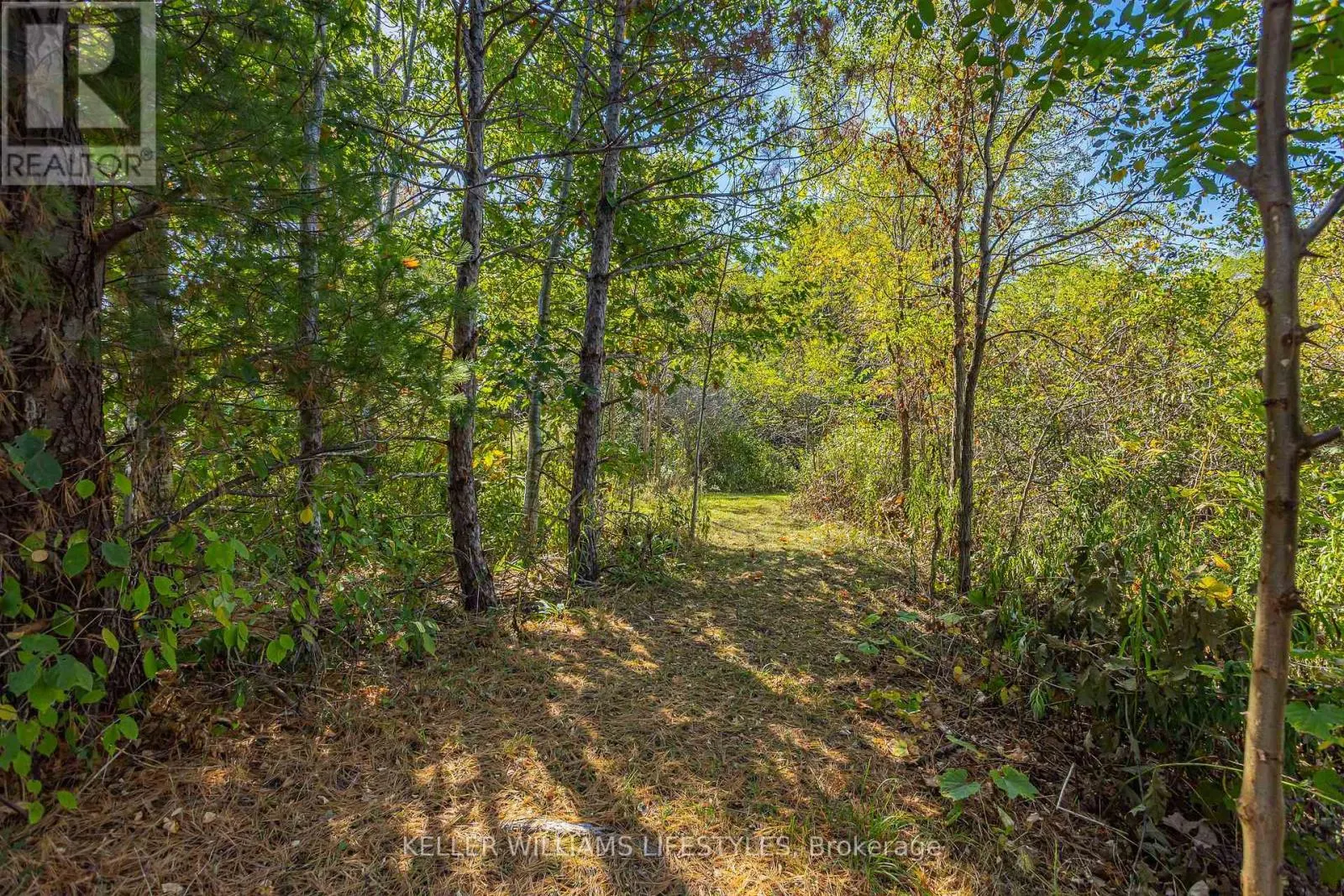 4723 AUSABLE DRIVE