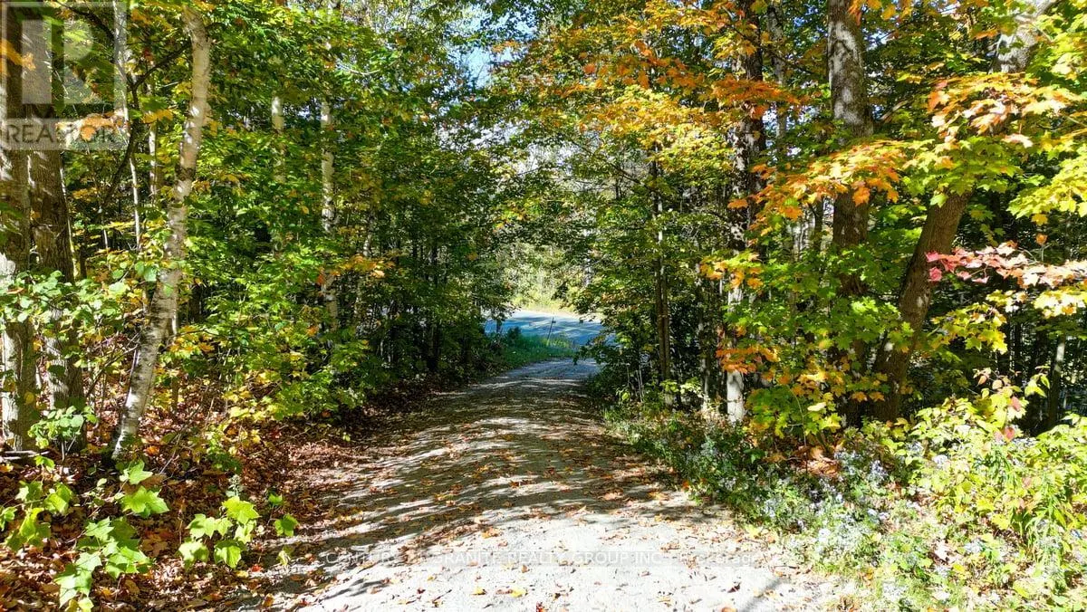 1831 SOUTH BAPTISTE LAKE ROAD