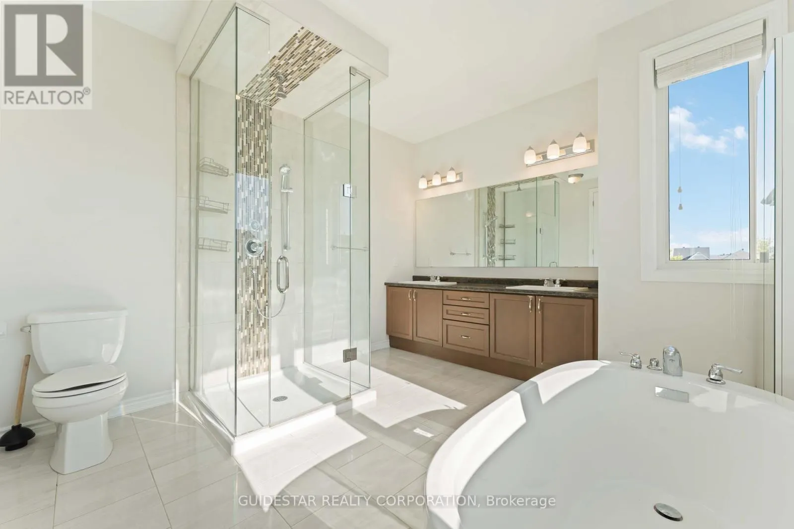 20 OXALIS CRESCENT