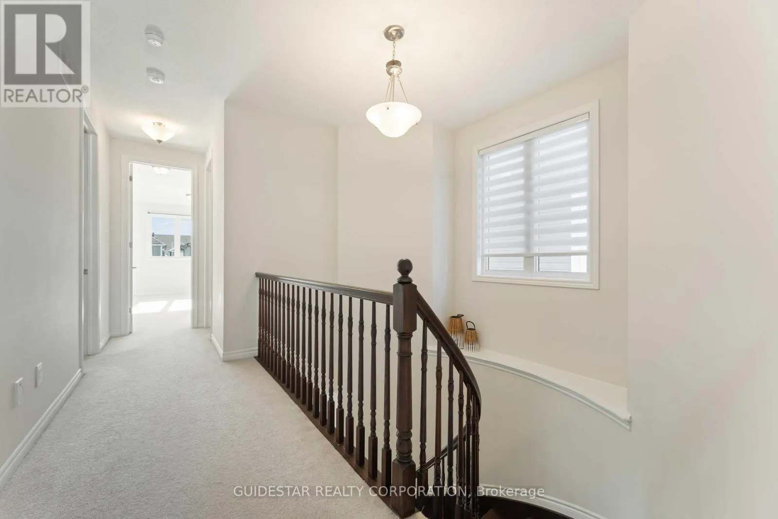20 OXALIS CRESCENT