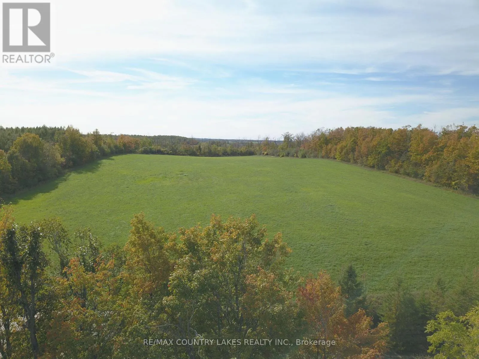341 COUNTY RD 46