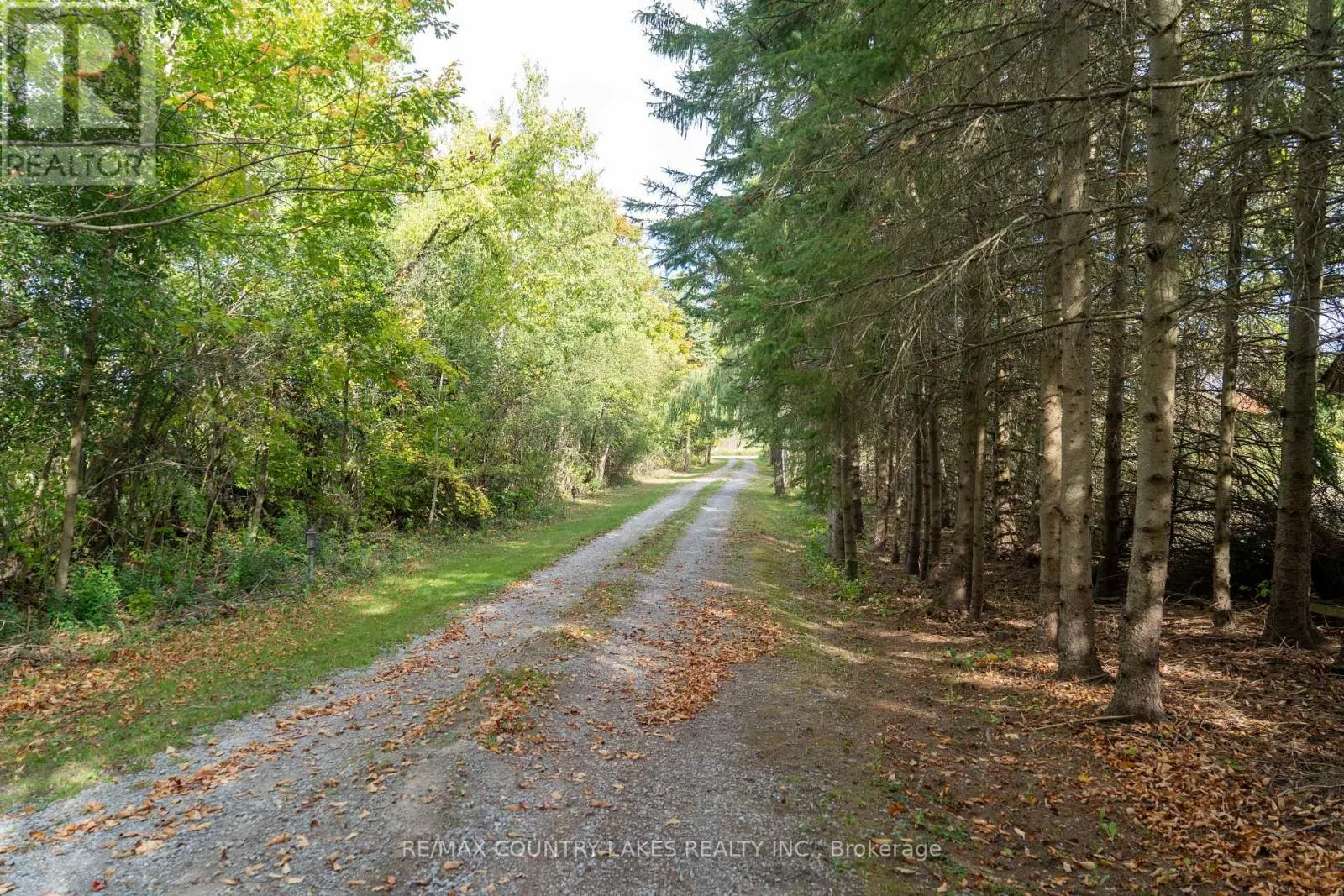 341 COUNTY RD 46