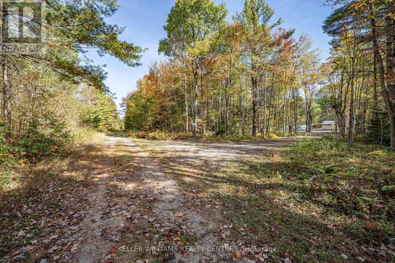 3124 SOUTHWOOD ROAD