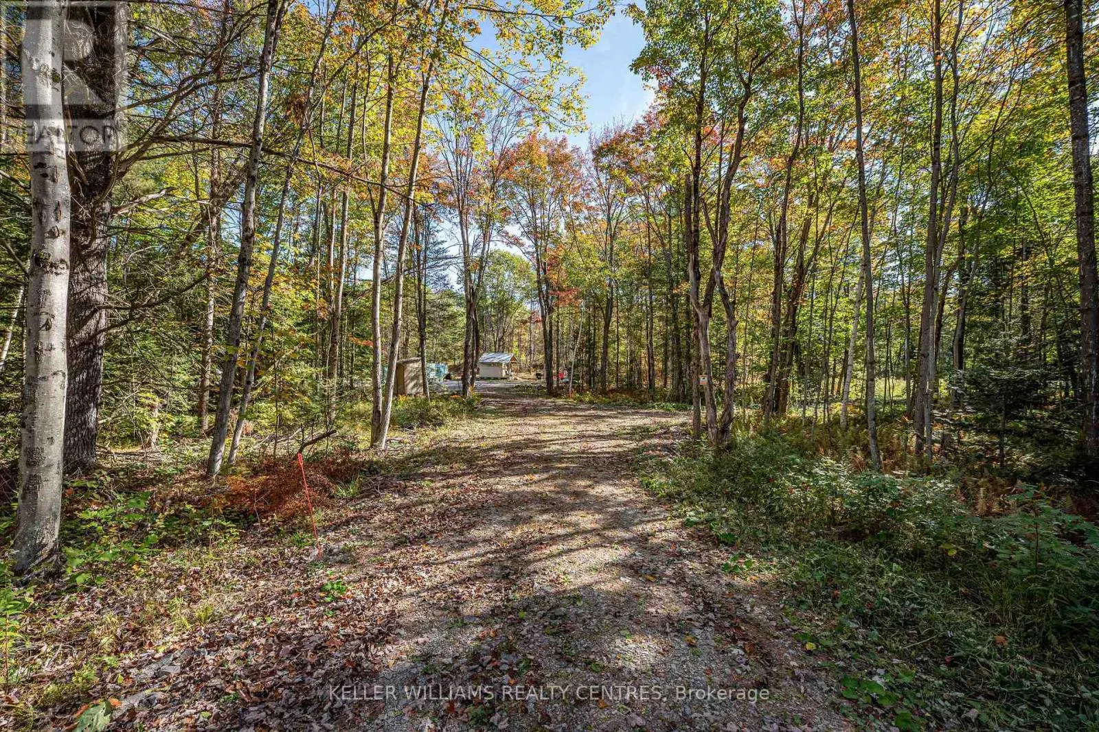 3124 SOUTHWOOD ROAD