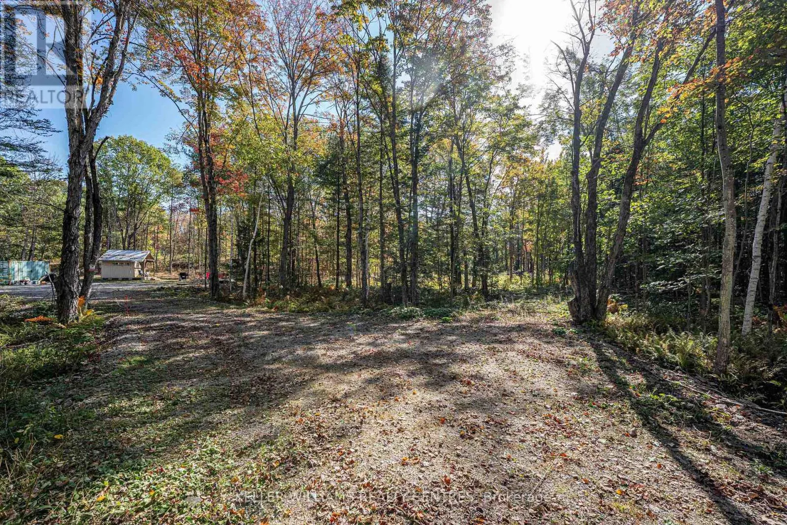 3124 SOUTHWOOD ROAD