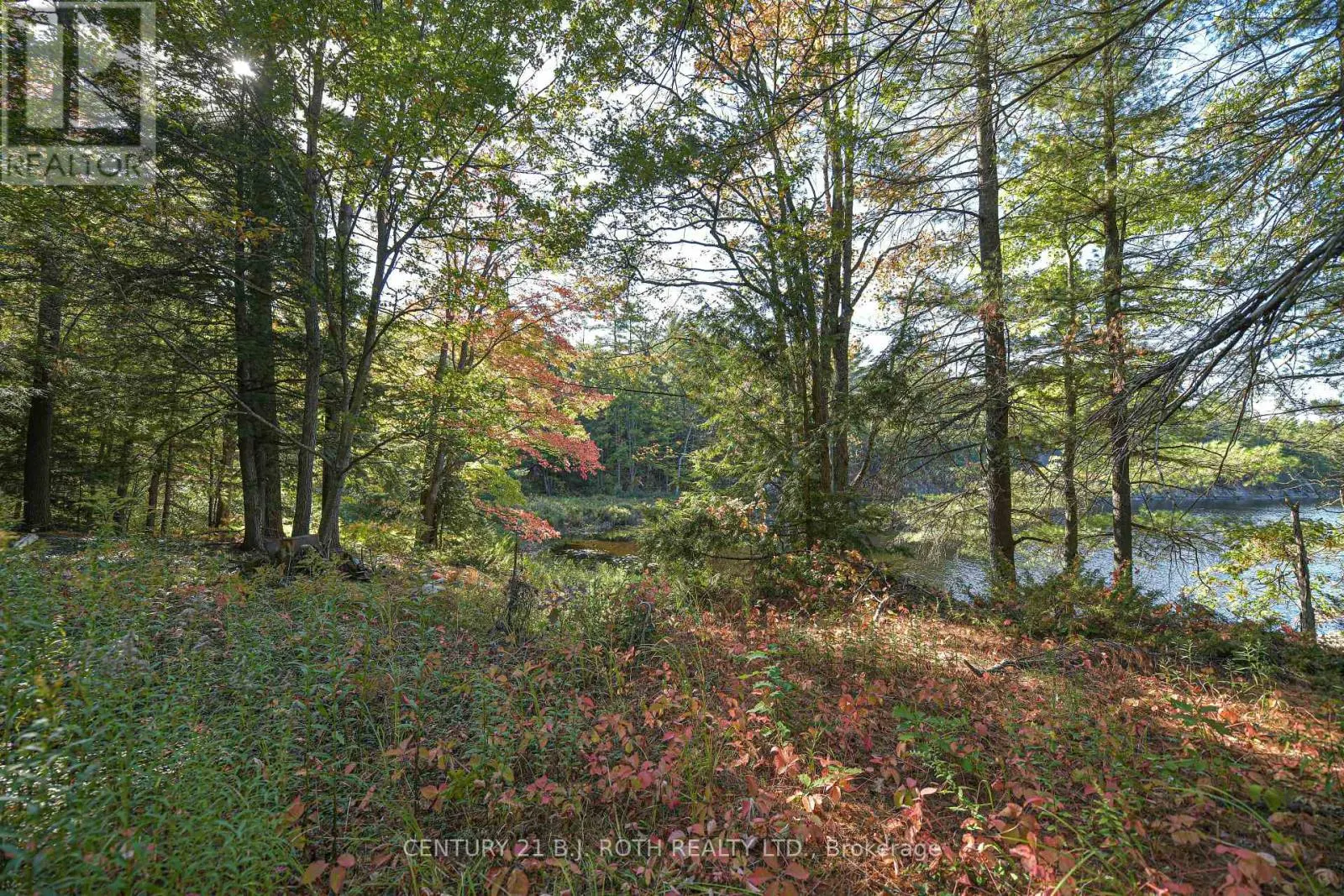 2 - 1112 SAM COOK ROAD