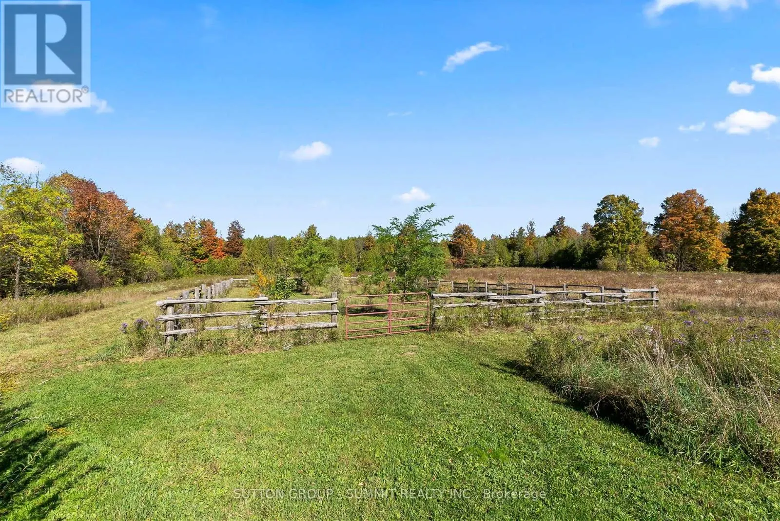 502349 10 CONCESSION