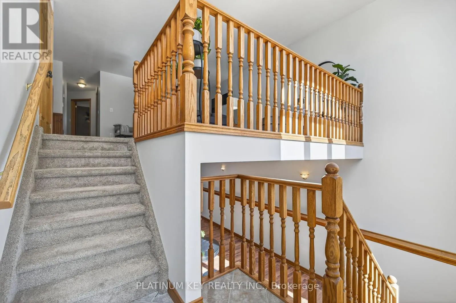 29 DELL DRIVE