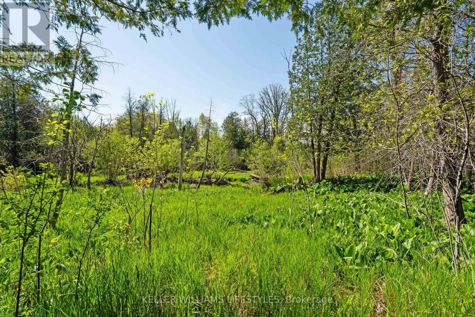 15083 MEDWAY ROAD