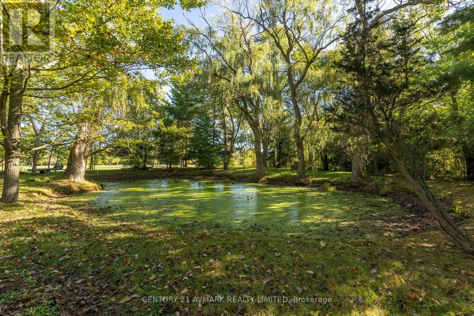 382 DOAN'S RIDGE ROAD