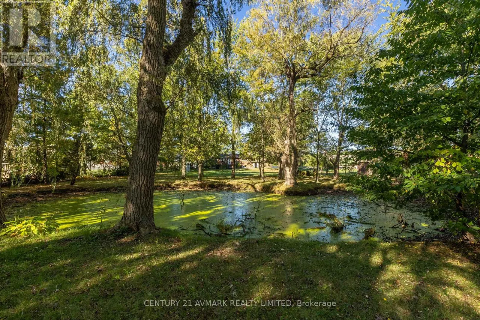 382 DOAN'S RIDGE ROAD
