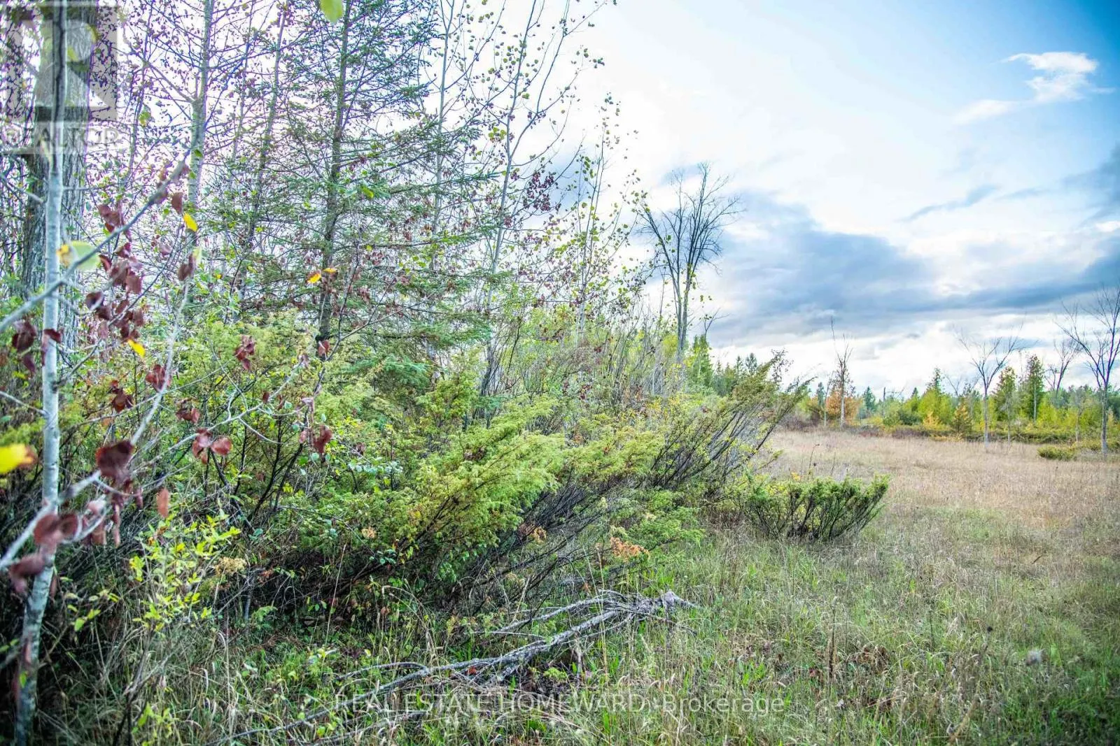 LOT 254 MCGUIRE BEACH ROAD