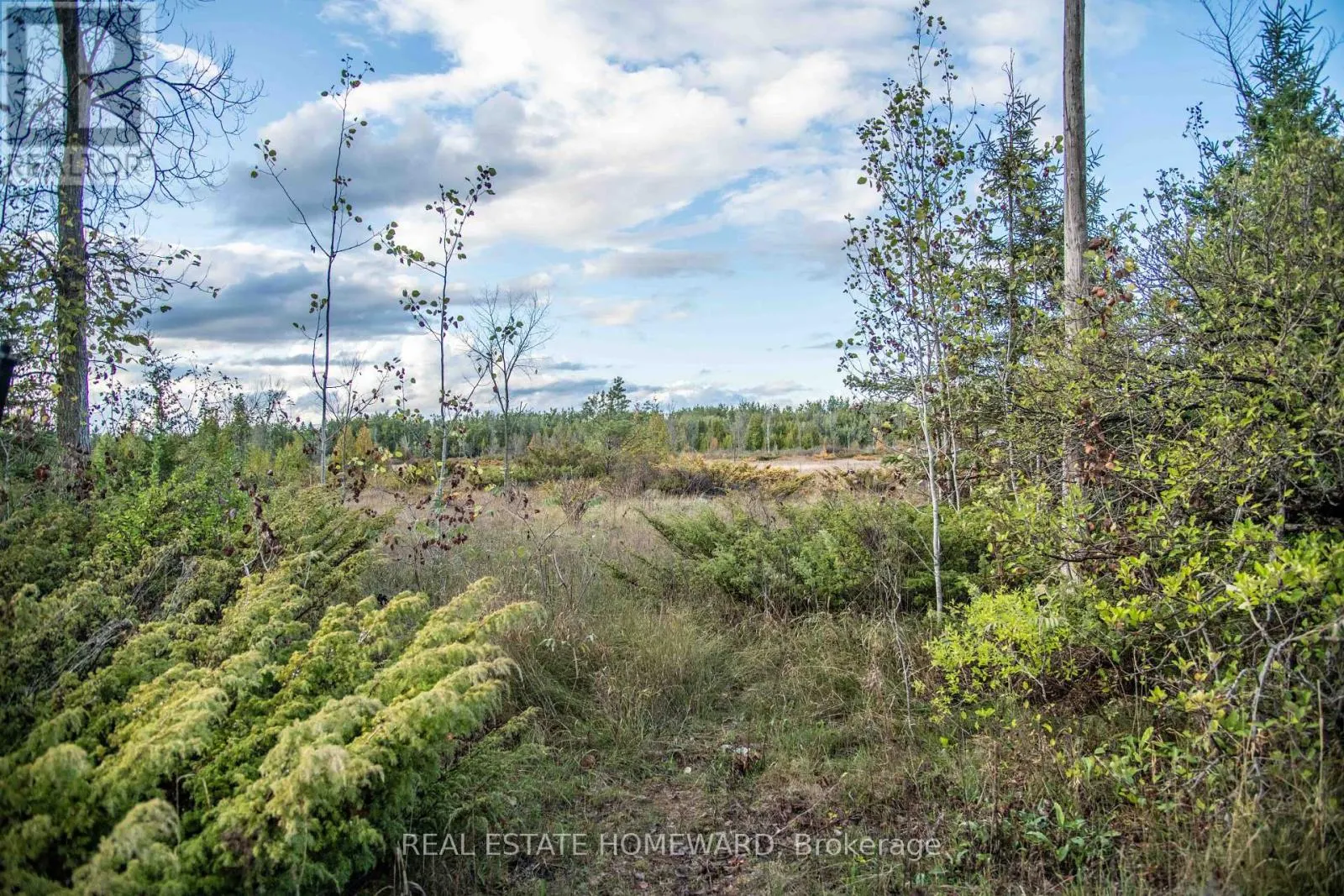 LOT 254 MCGUIRE BEACH ROAD