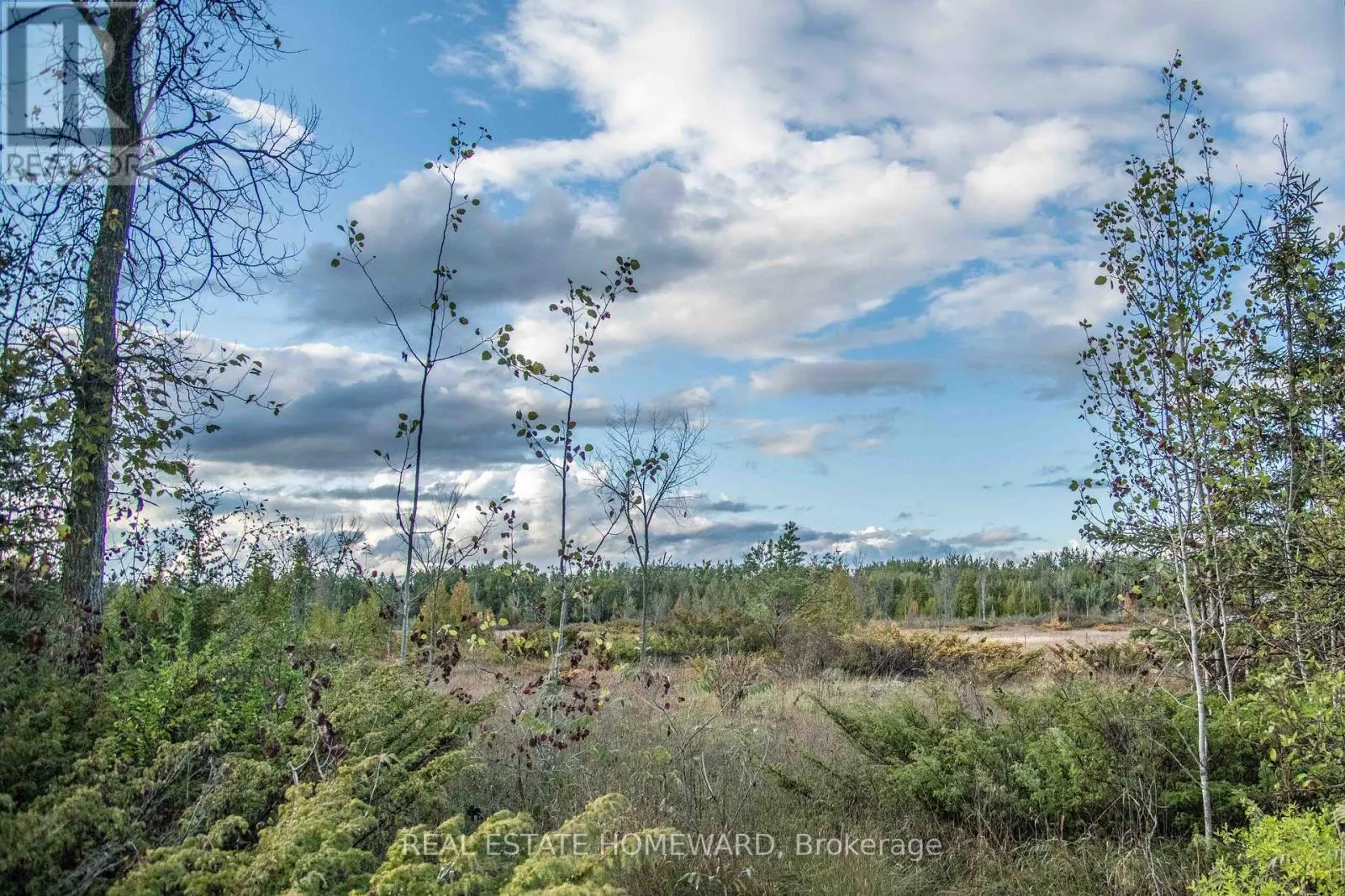 LOT 254 MCGUIRE BEACH ROAD