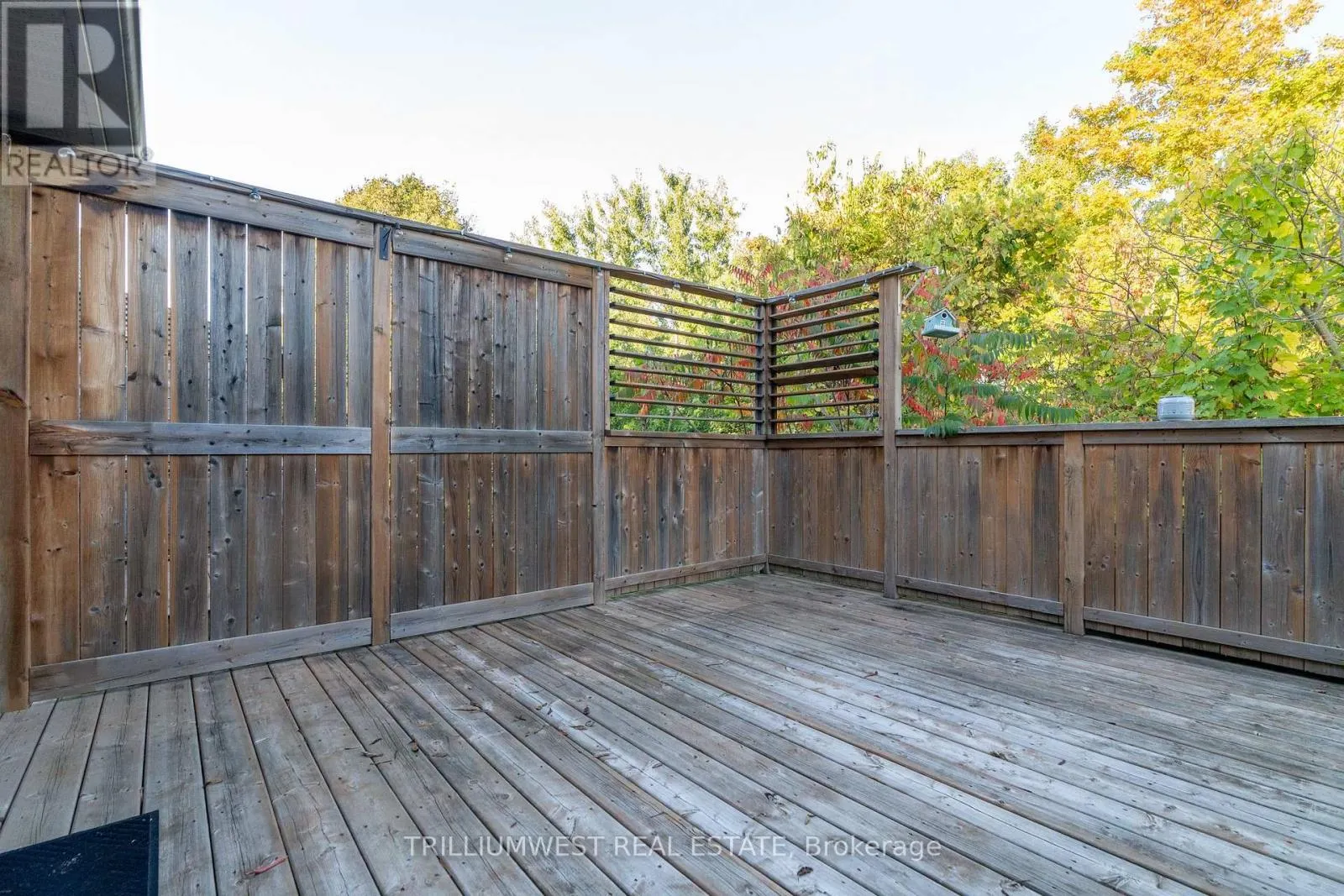 49 MEADOWRIDGE STREET