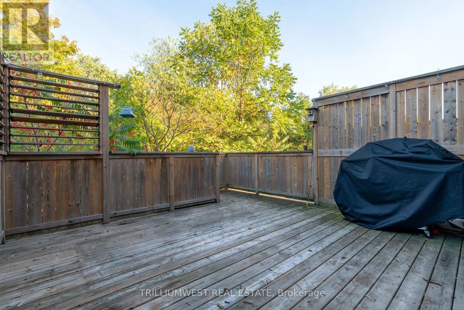 49 MEADOWRIDGE STREET