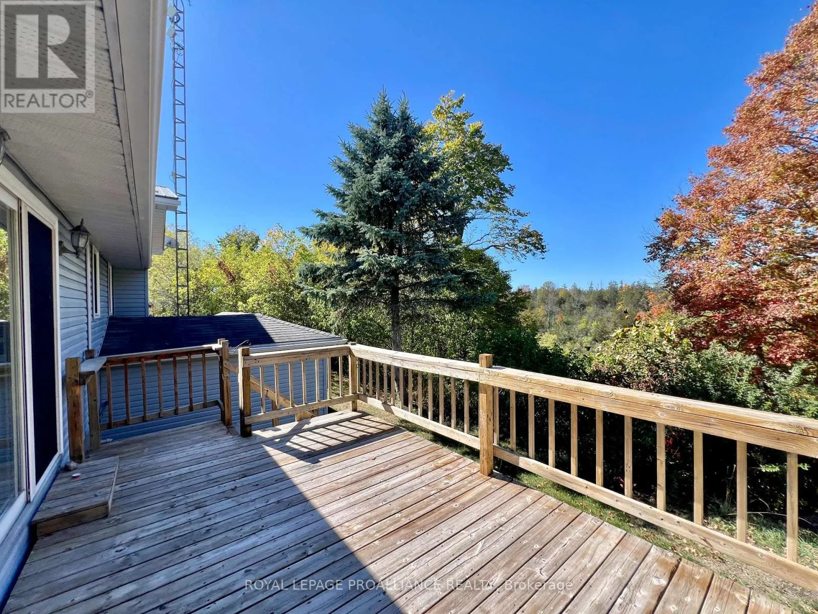 444 COUNTY ROAD 19