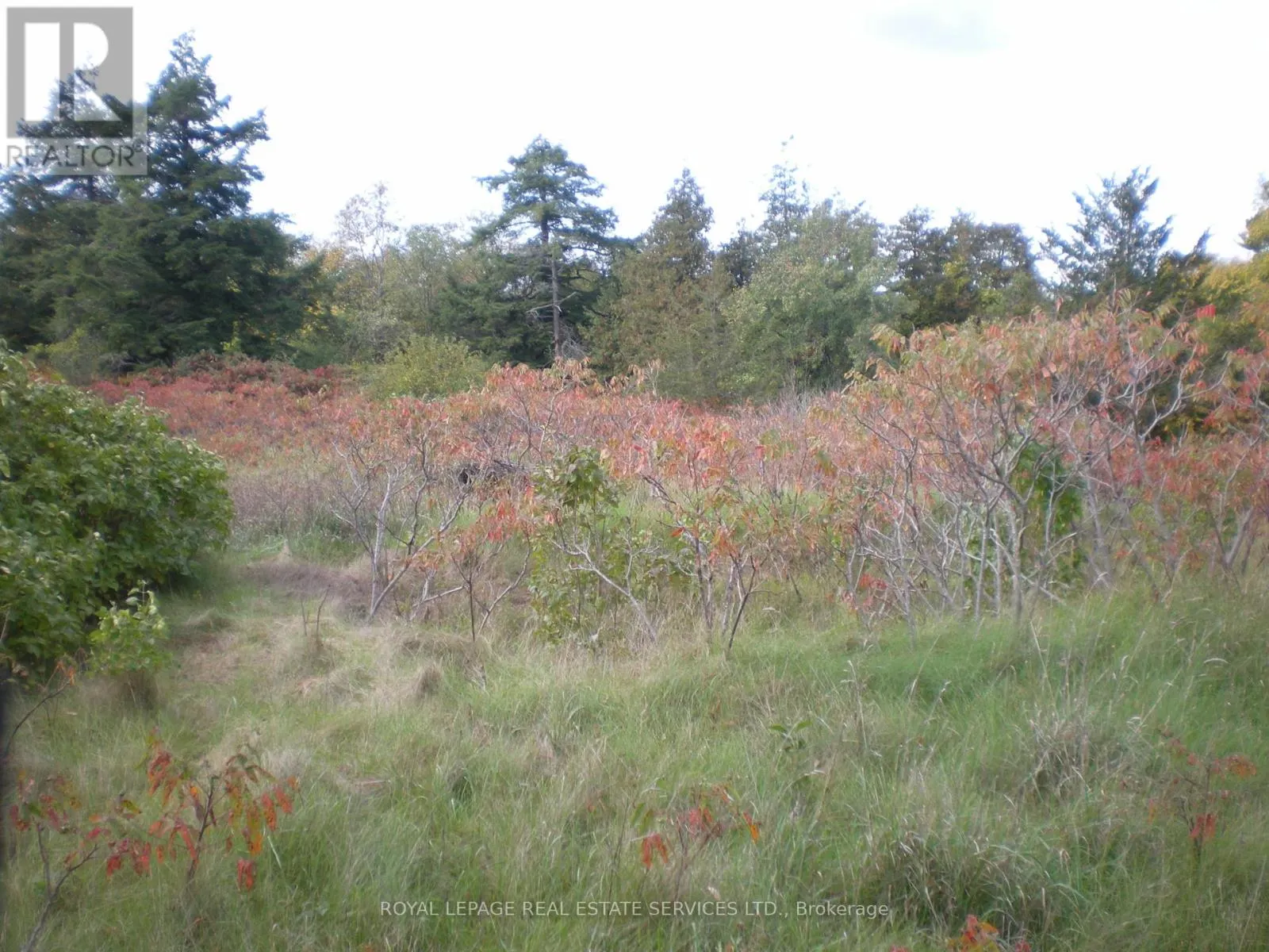 COUNTY ROAD 10, LOT 2