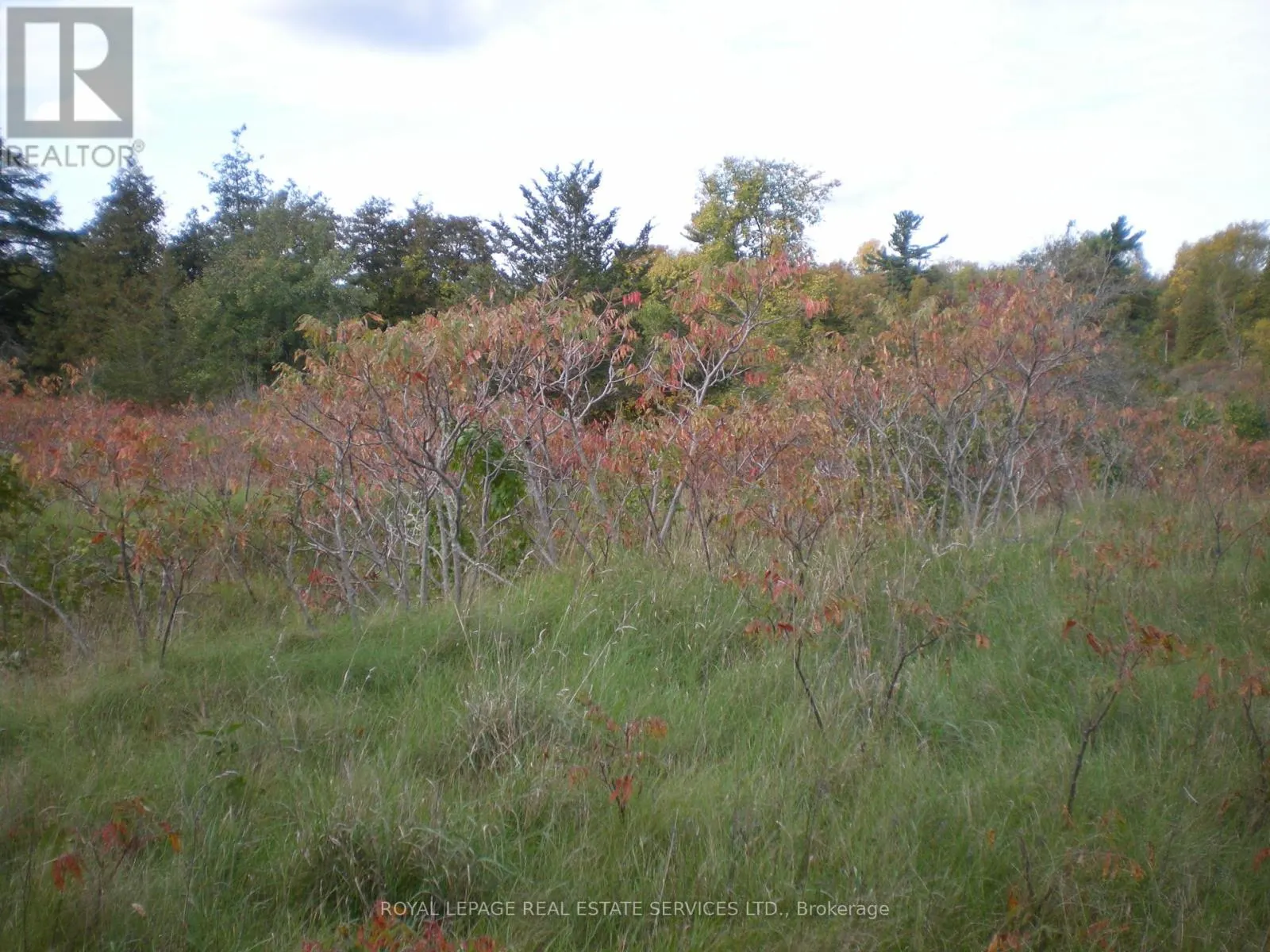 COUNTY ROAD 10, LOT 2