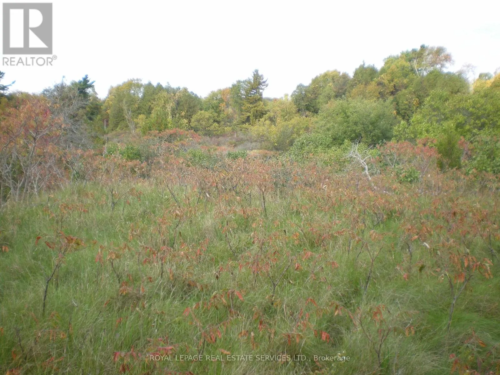 COUNTY ROAD 10, LOT 3