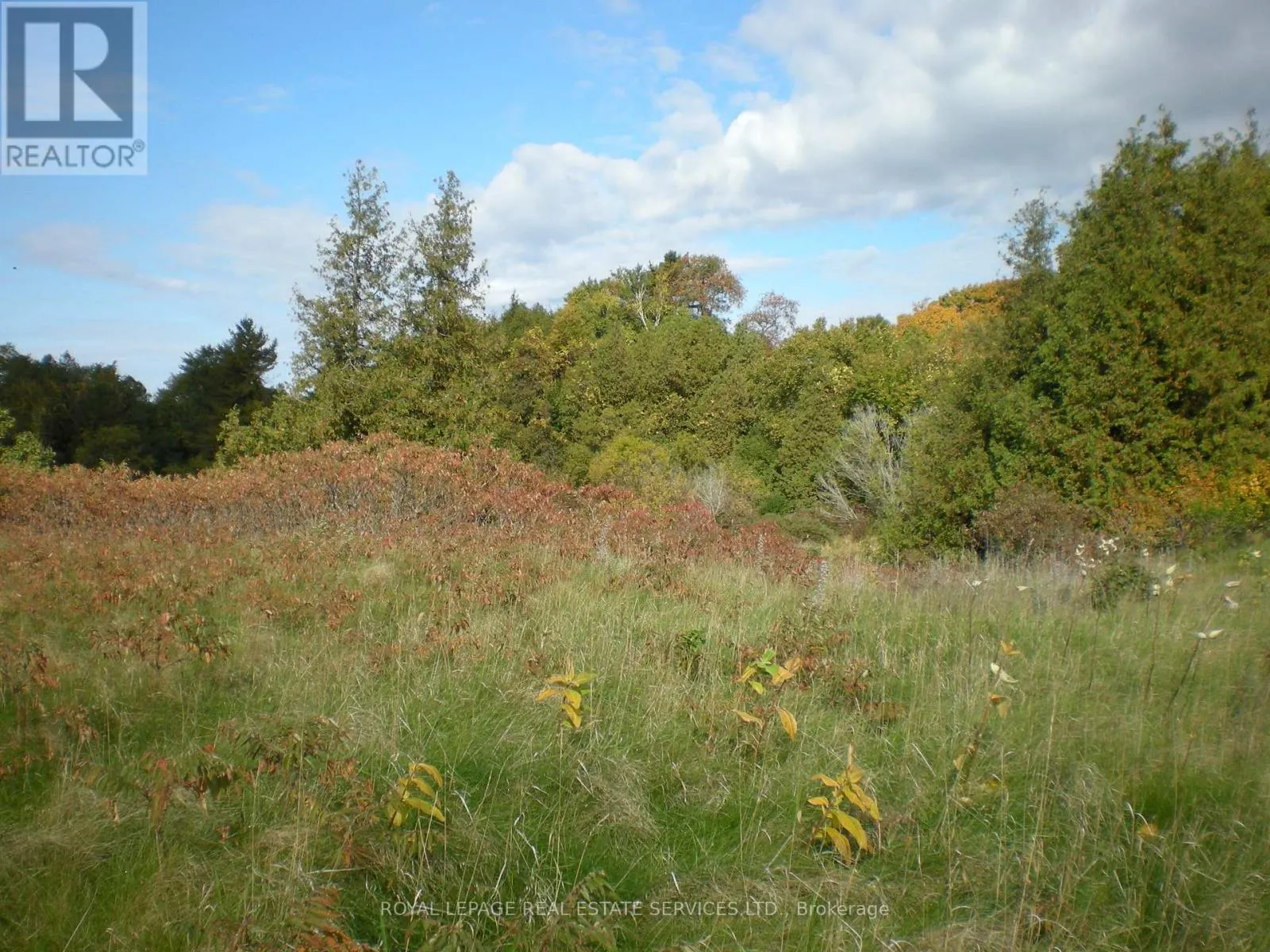 COUNTY ROAD 10, LOT 3