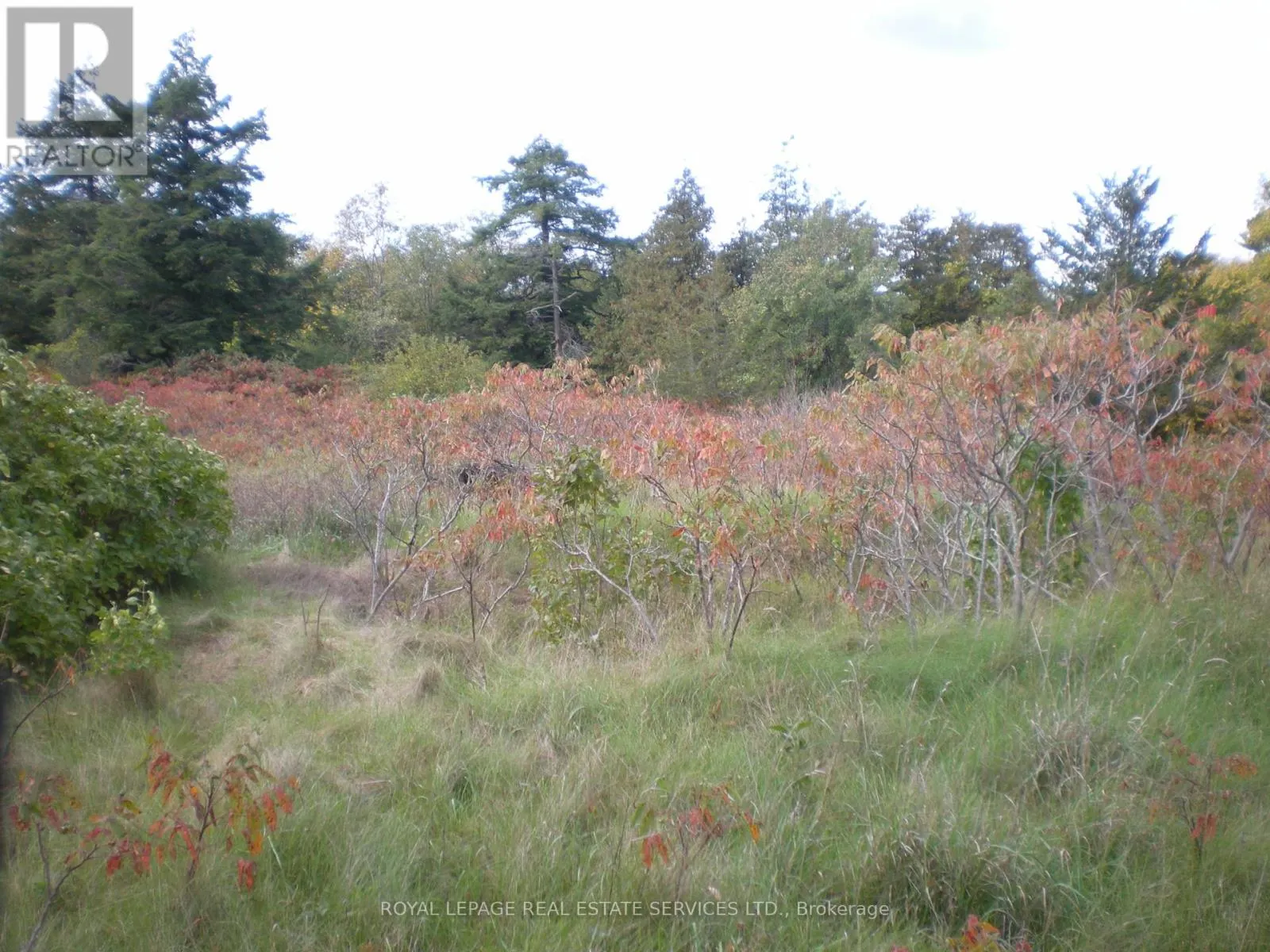 COUNTY ROAD 10, LOT 3