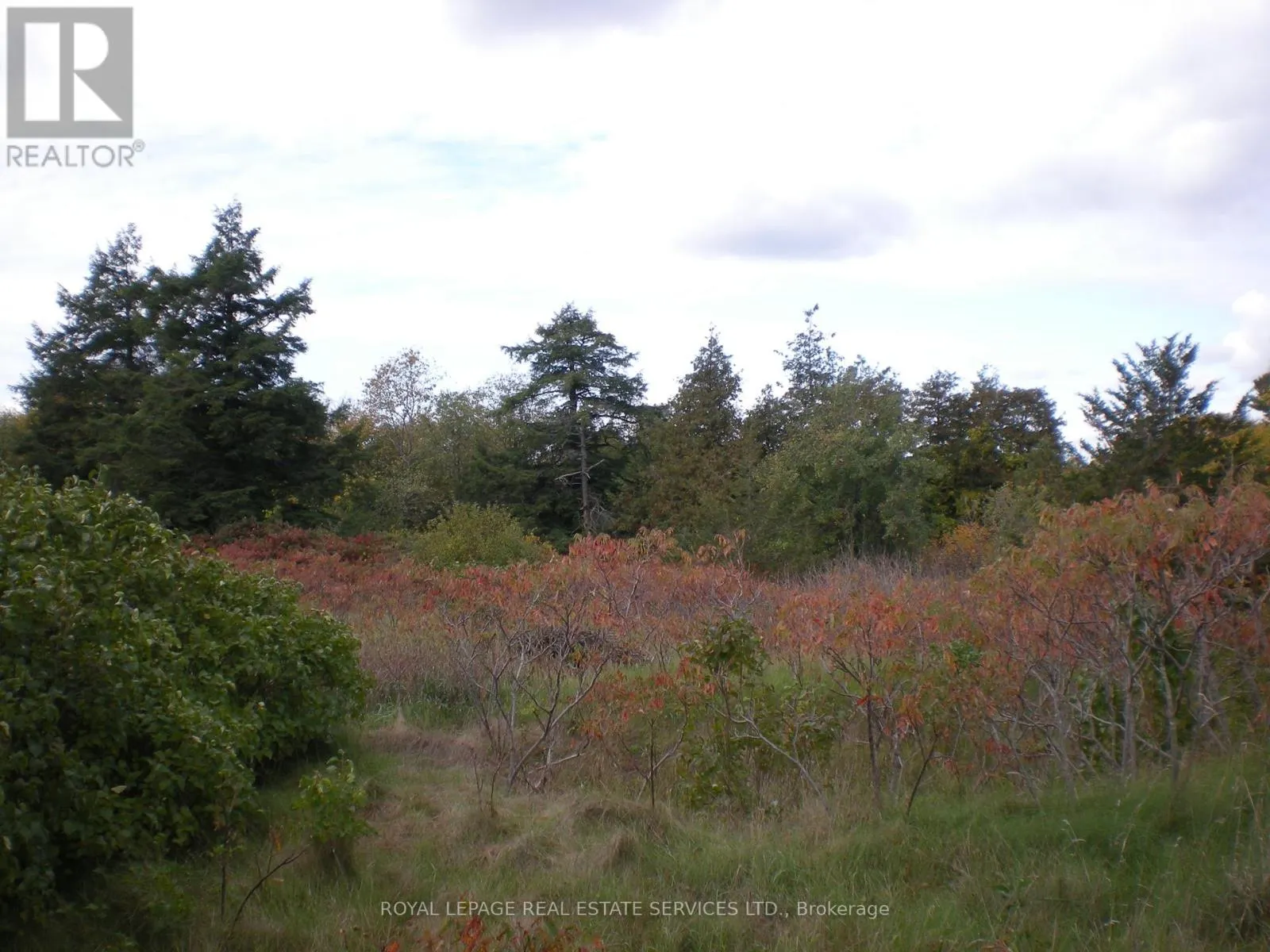 COUNTY ROAD 10, LOT 3