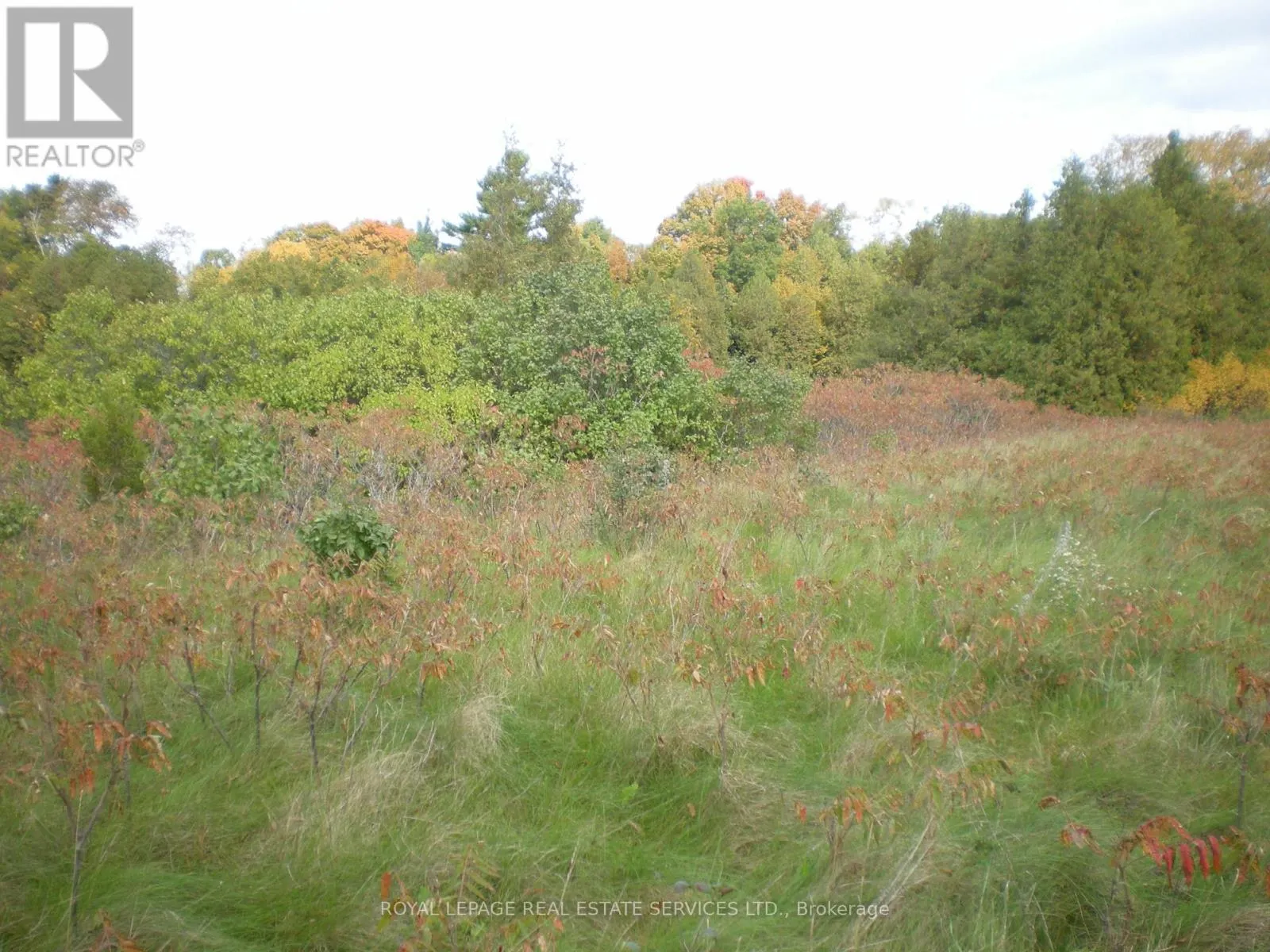 COUNTY ROAD 10, LOT 3