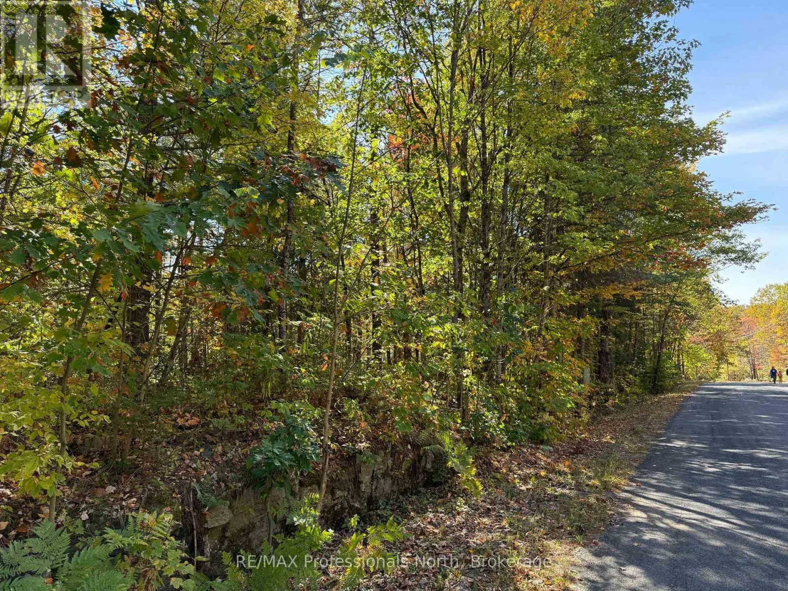 PT LT 7 CON 3 BUCKSLIDE ROAD