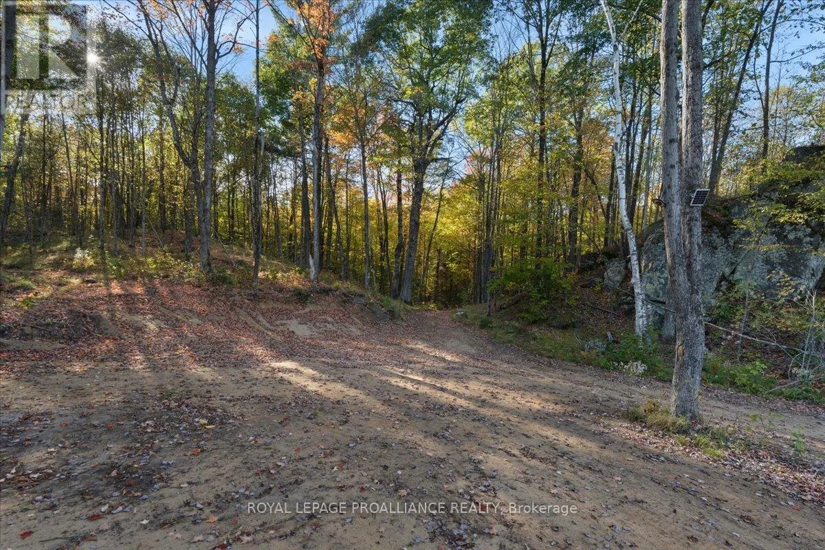 2650B UPPER FLINTON ROAD