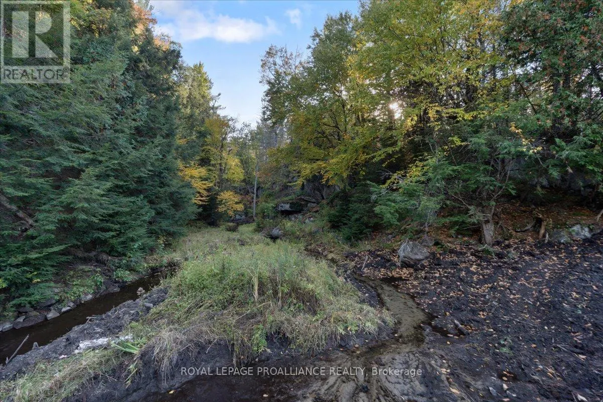 2650B UPPER FLINTON ROAD