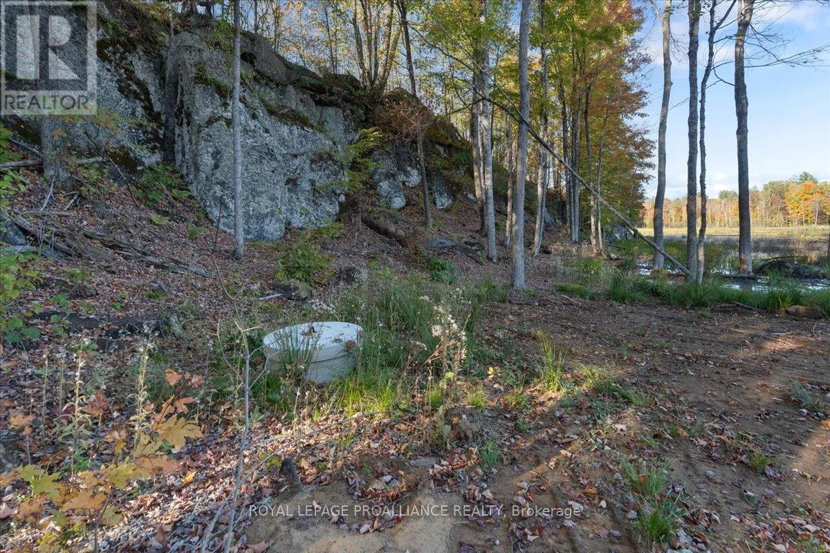 2650B UPPER FLINTON ROAD