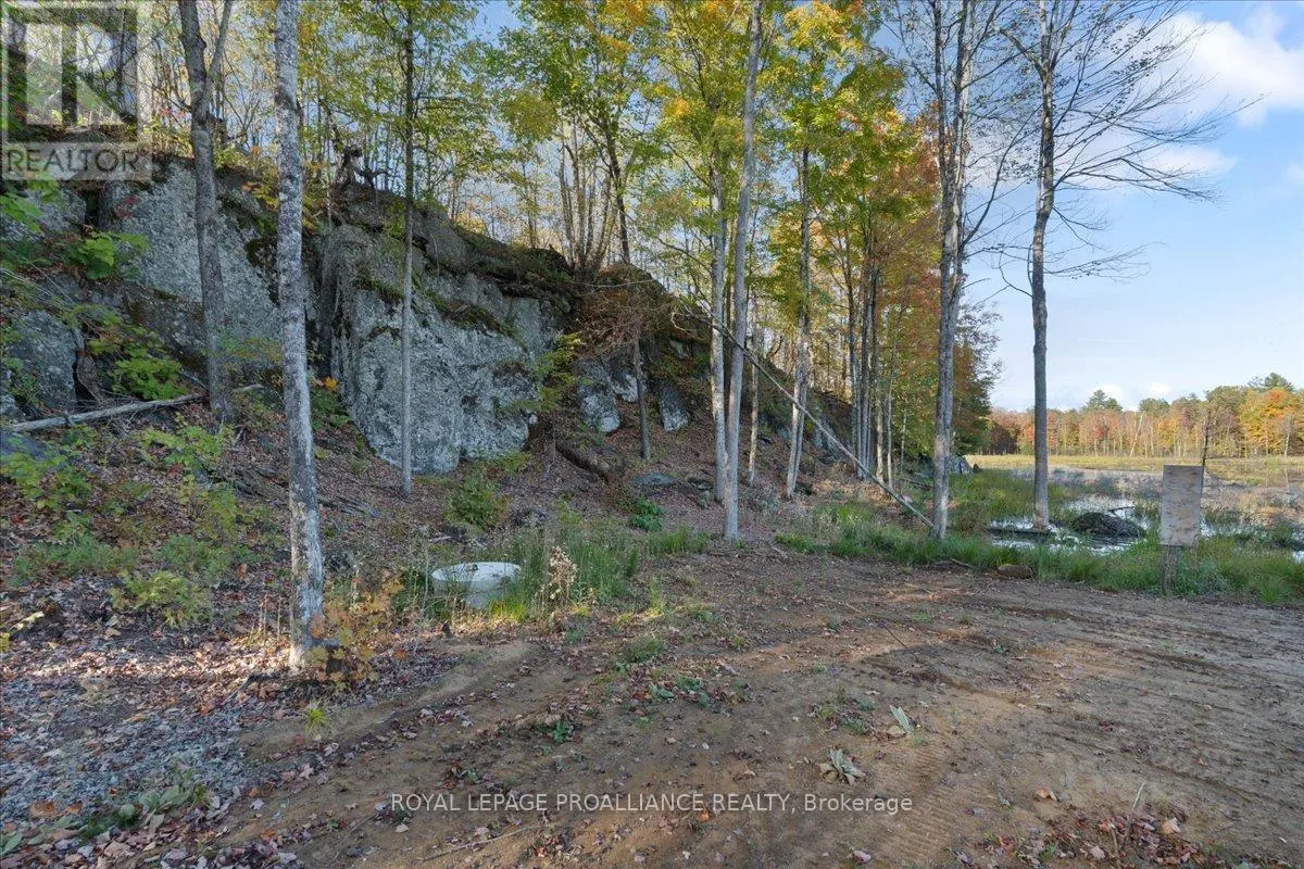 2650B UPPER FLINTON ROAD