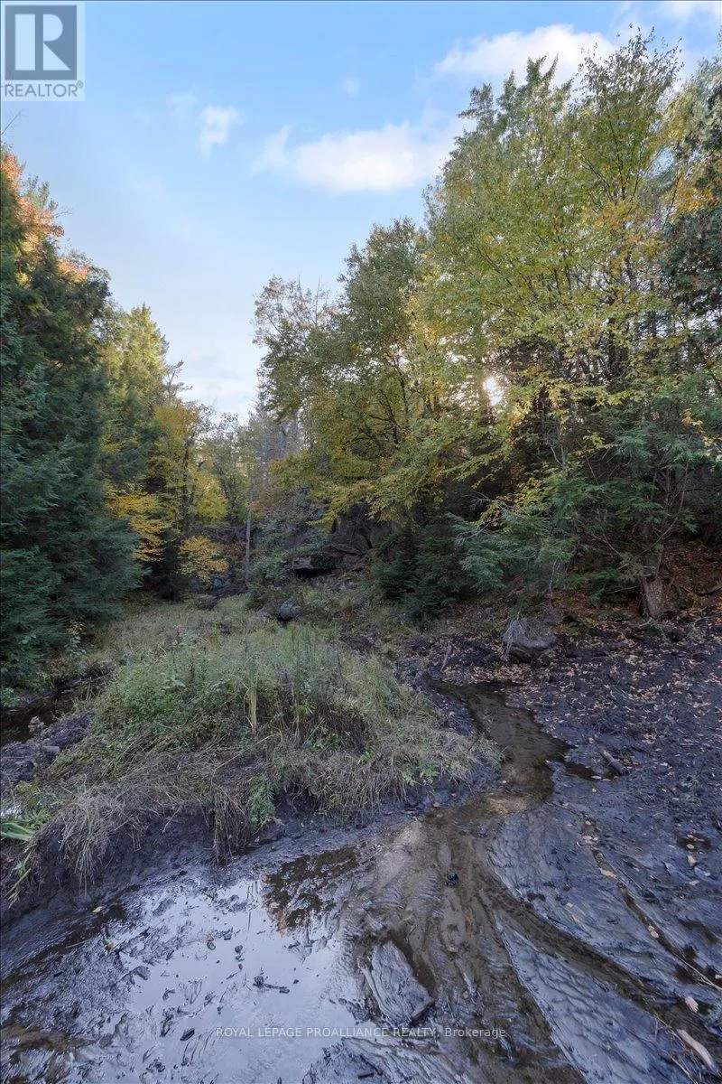 2650B UPPER FLINTON ROAD