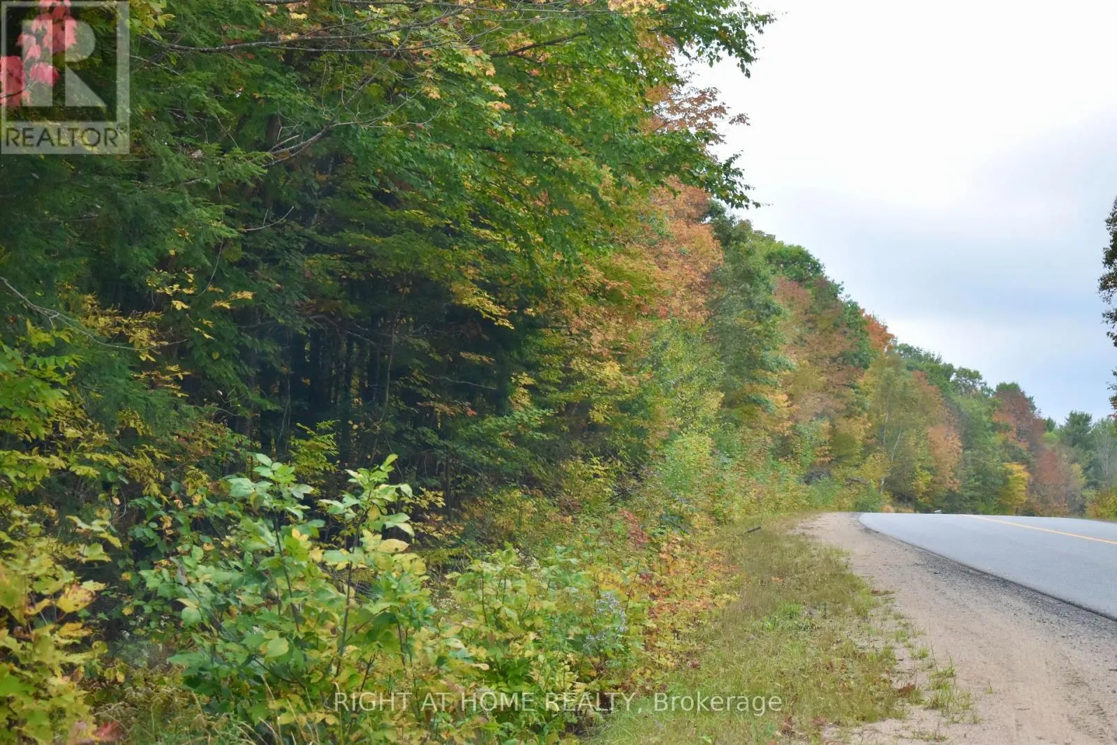 1150 LIMBERLOST ROAD