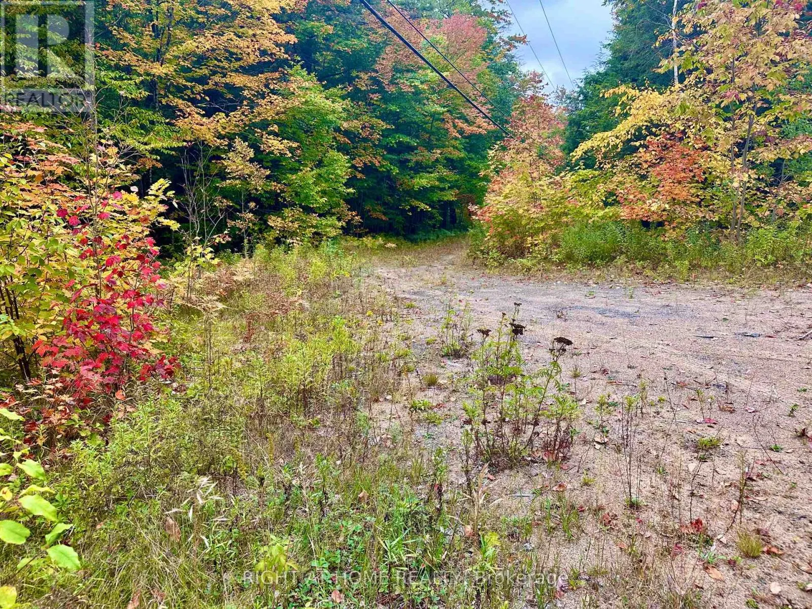 1150 LIMBERLOST ROAD