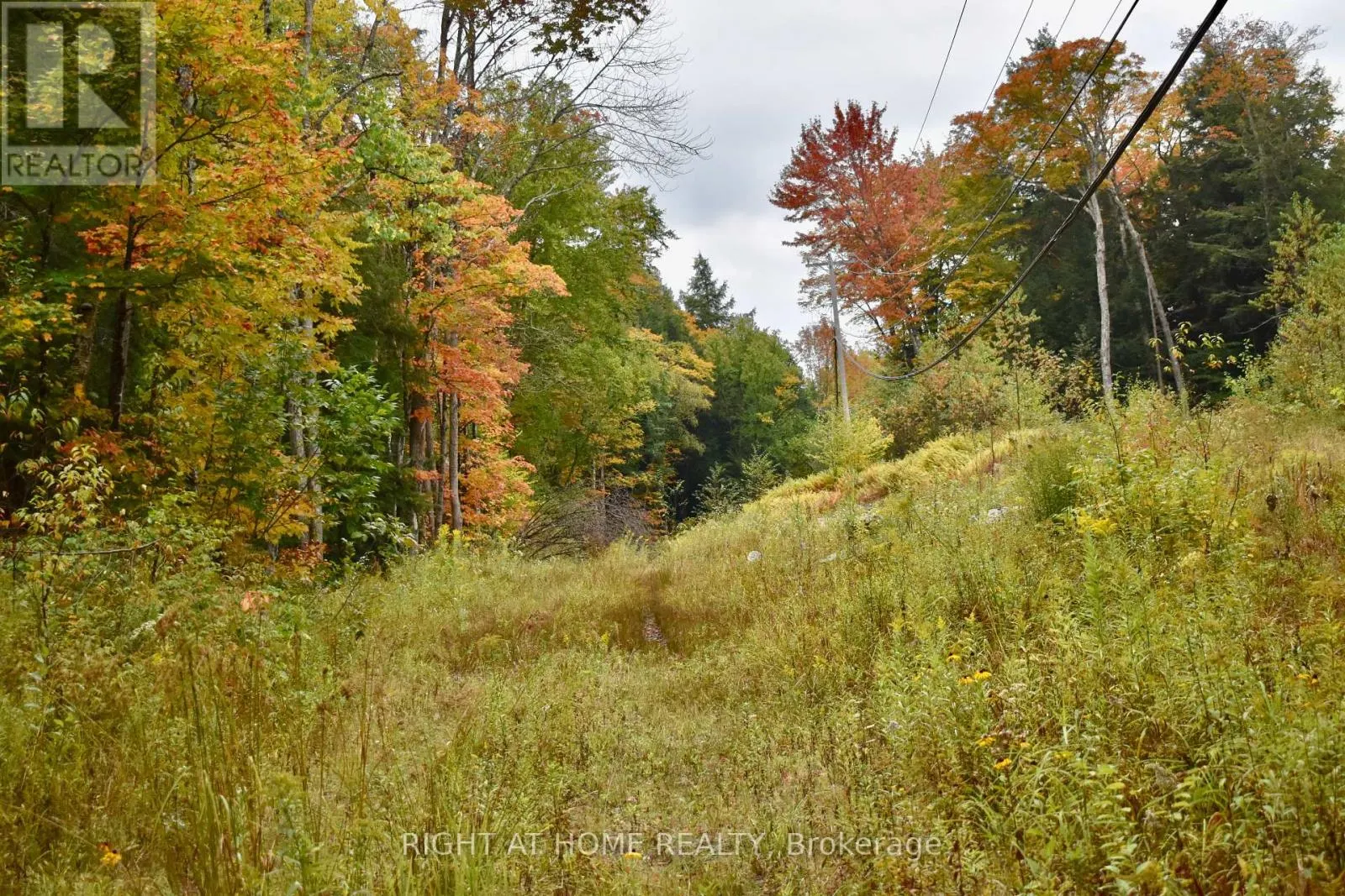 1150 LIMBERLOST ROAD