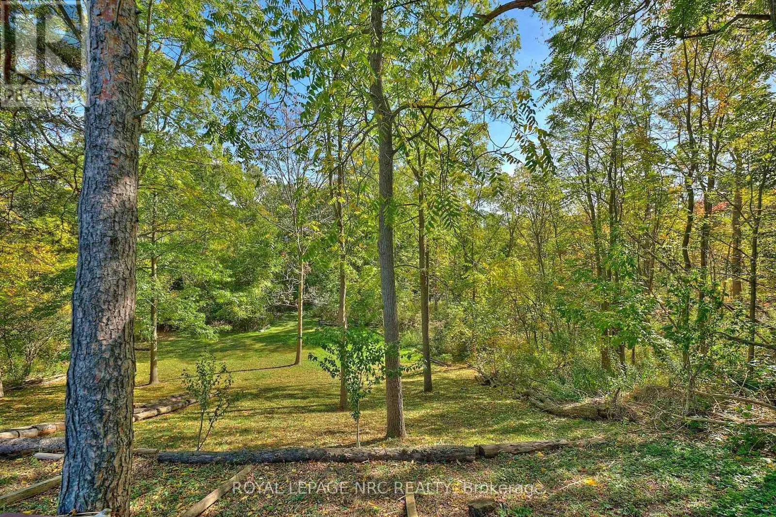 81 RIVERVIEW BOULEVARD