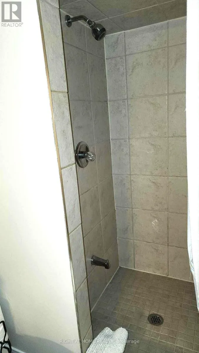 BASEMENT - 44 MEADOWLANDS BOULEVARD