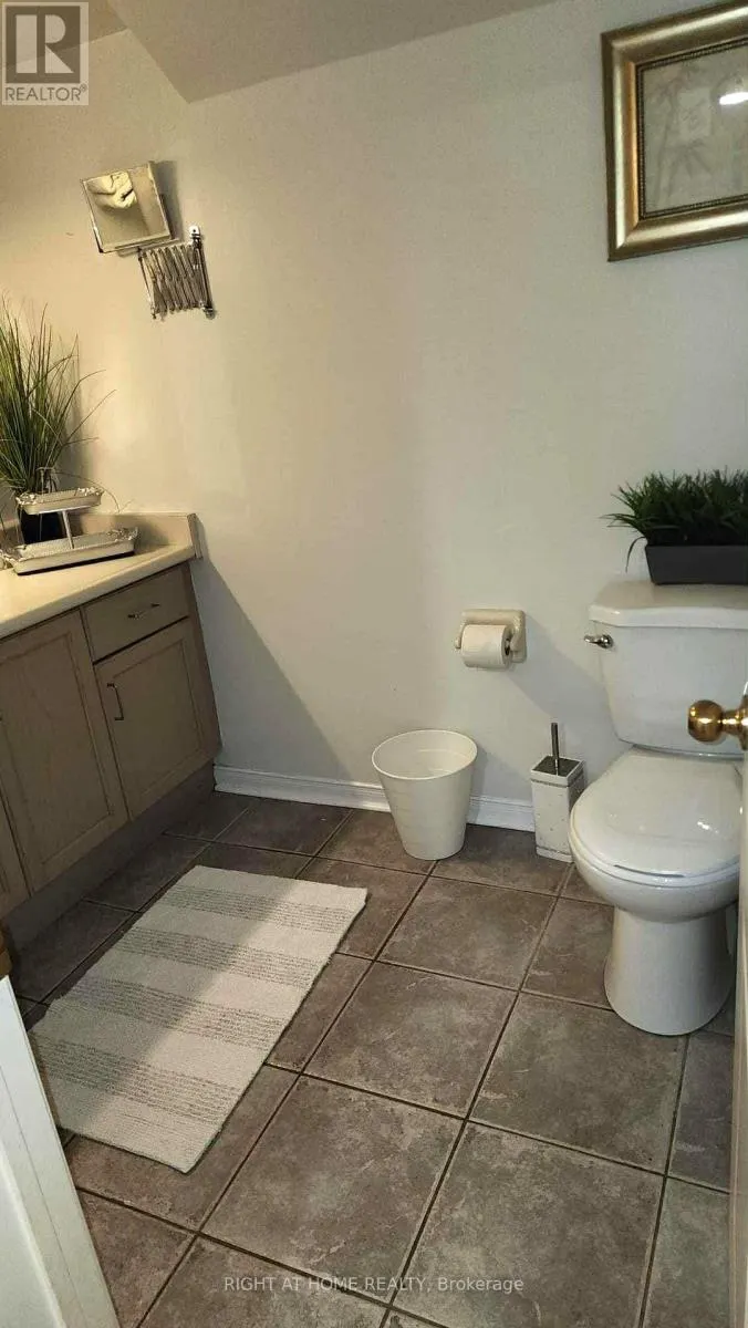 BASEMENT - 44 MEADOWLANDS BOULEVARD