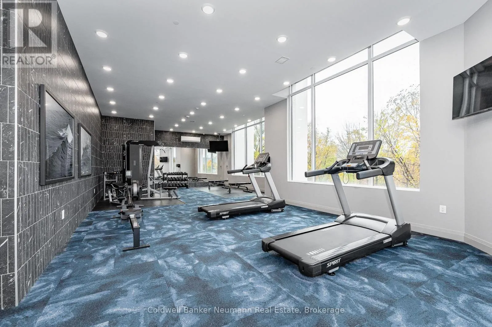 209 - 71 WYNDHAM STREET S, #209