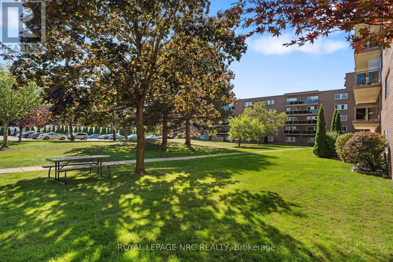 513 - 196 SCOTT STREET, #513