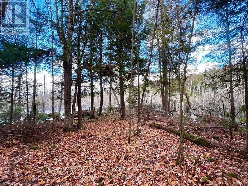 678 CENTREVIEW ROAD