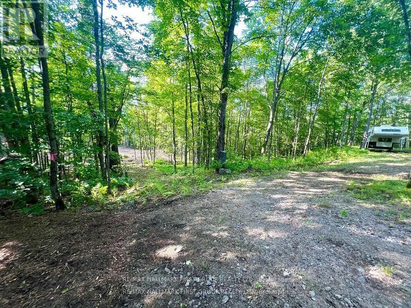 678 CENTREVIEW ROAD